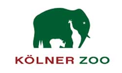 Kölner Zoo • GAT